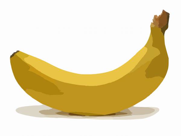 banana fruit bent yellow tropical  svg vector cut file