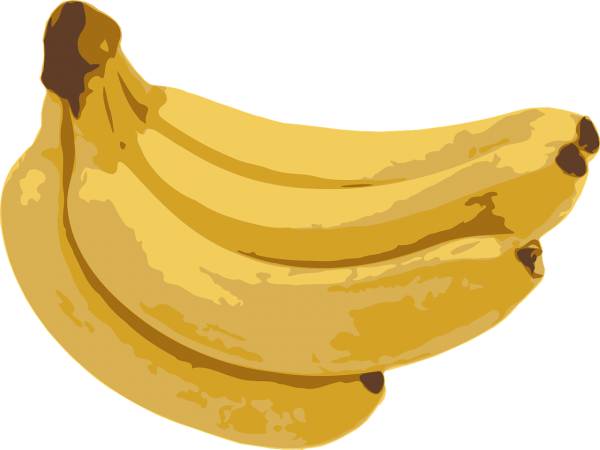 banana fruit yellow organic diet  svg vector cut file