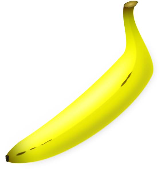 banana fruit yellow tropical  svg vector cut file