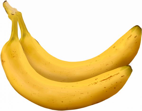 bananas fruit yellow plants food  svg vector cut file