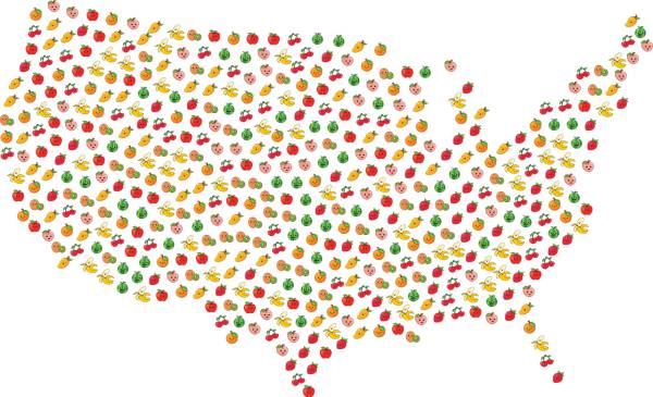 map america fruit united states  svg vector cut file