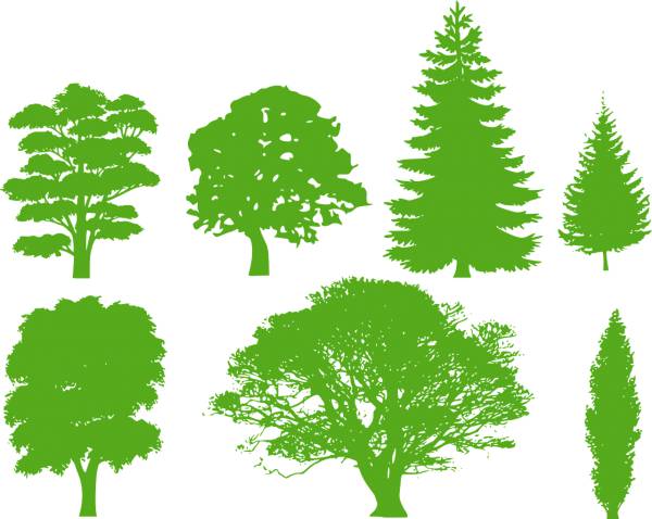 trees silhouette variety  svg vector cut file
