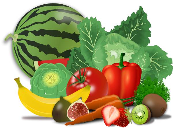 vegetables fruits food artichoke  svg vector cut file
