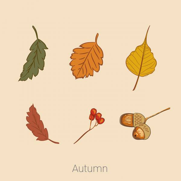autumn season leaves nature plant  svg vector cut file