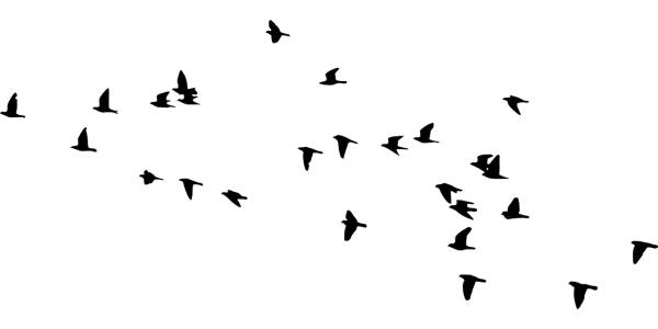birds flock silhouette animals  svg vector cut file