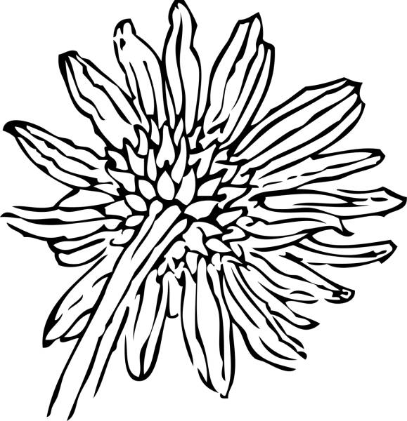 daisy sunflower flower petals  svg vector cut file