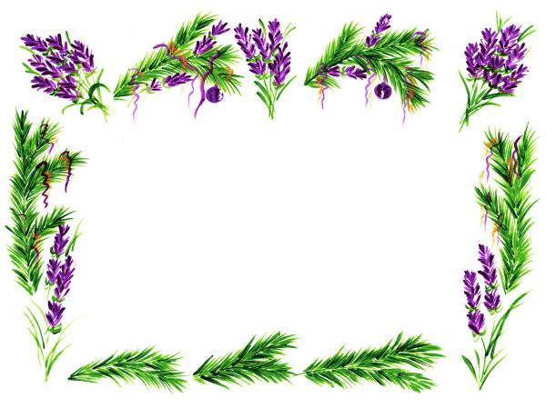 lavender spruce needles frame  svg vector cut file