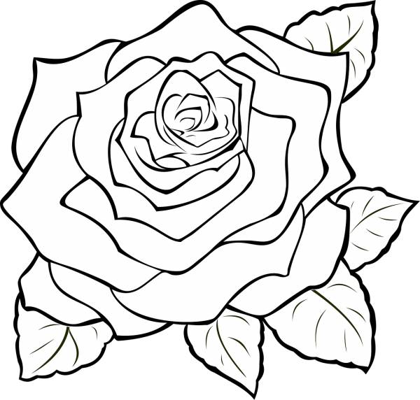 rose blossom full bloom flower  svg vector cut file