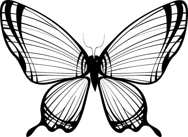 animal butterfly flying insect  svg vector cut file