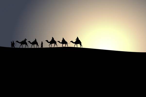 animal camels caravan desert dunes  svg vector cut file