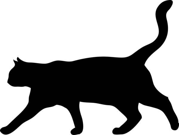cat animal the silhouette  svg vector cut file