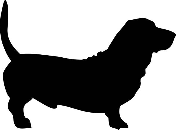 dog basset the silhouette animal  svg vector cut file