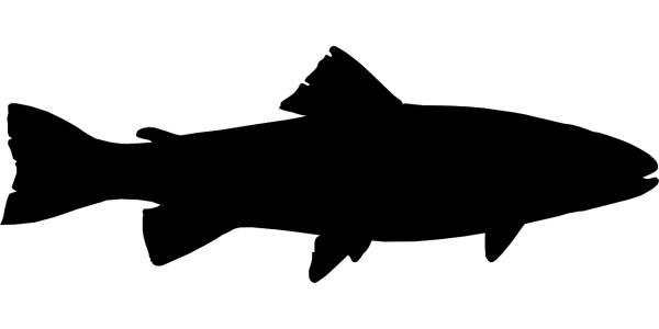fish black fishing silhouette  svg vector cut file