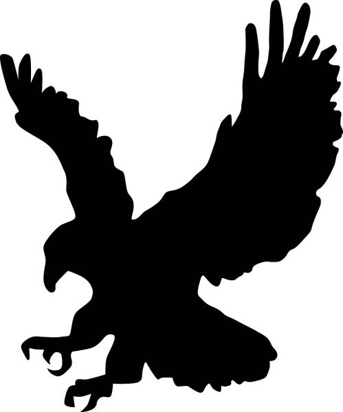 hawk silhouette eagle bird of prey  svg vector cut file