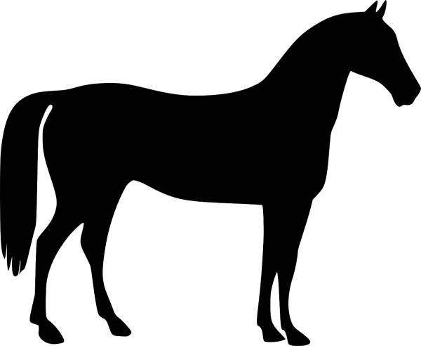 horse gymnastic horse animal riding  svg vector cut file
