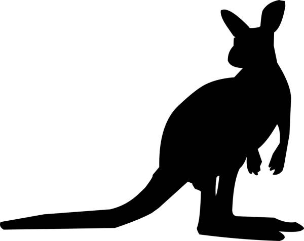 kangaroo silhouette animal  svg vector cut file