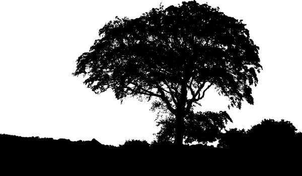 landscape nature silhouette tree  svg vector cut file