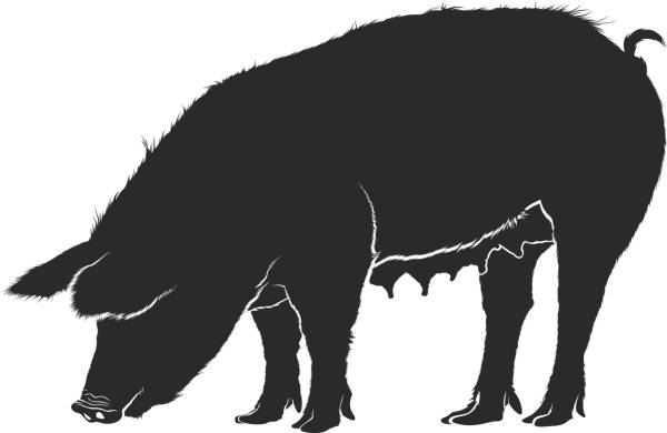 pig pork sow black animal  svg vector cut file
