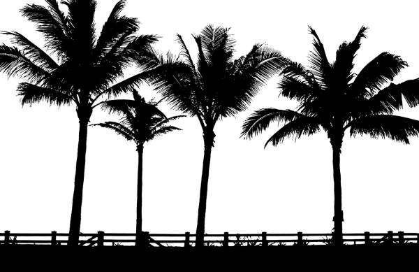 tropical palms trees silhouette  svg vector cut file