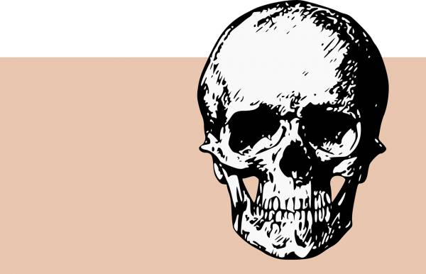 bones skull death skeleton dead  svg vector cut file