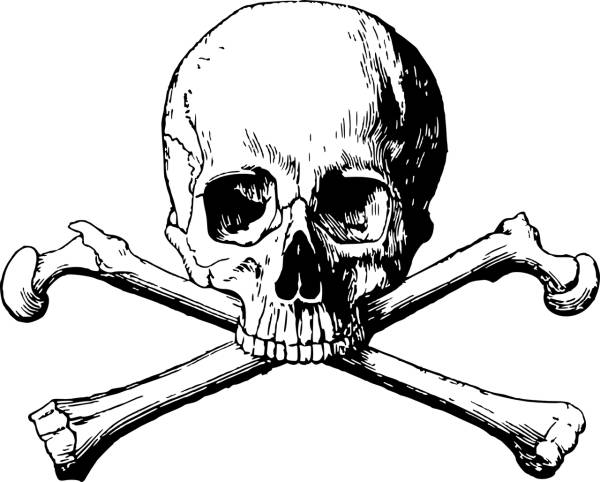 crossbones skull danger death  svg vector cut file