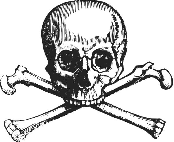 crossbones skull death danger  svg vector cut file