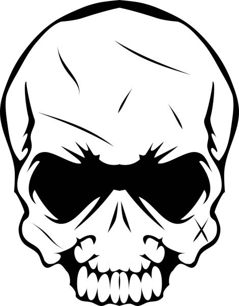 head skull bones skeleton death  svg vector cut file