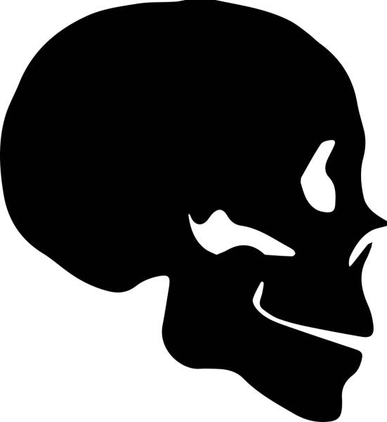 human skull silhouette black  svg vector cut file