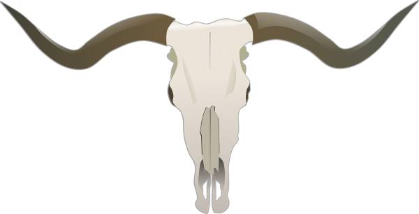 longhorn beef bones bull skull  svg vector cut file