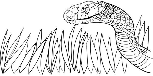 animal grass poison serpent snake  svg vector cut file