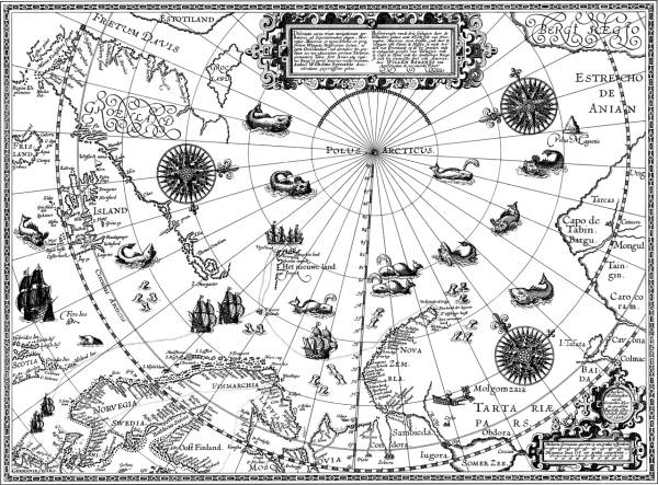 arctic map line art cartography  svg vector cut file