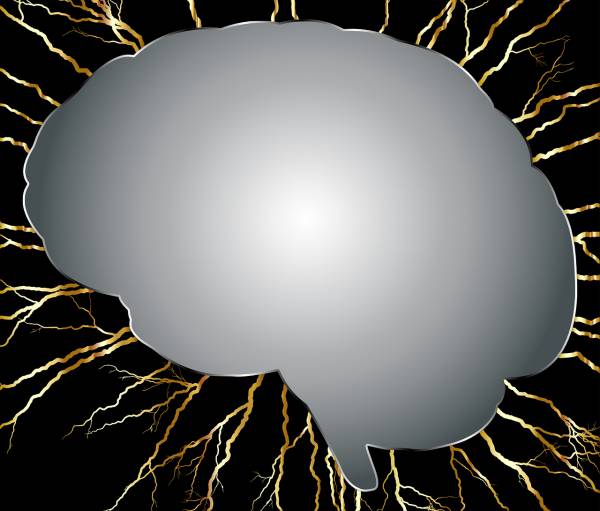 brain head skull cranium  svg vector cut file