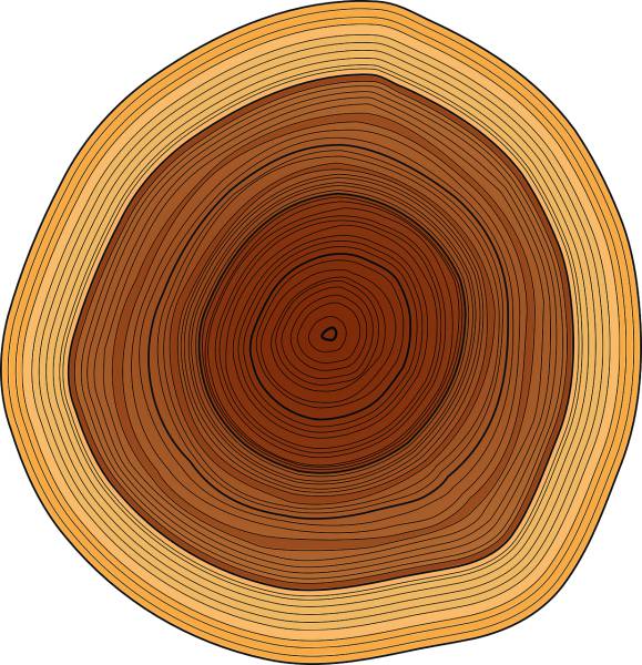 annual rings trunk tree rings wood  svg vector cut file