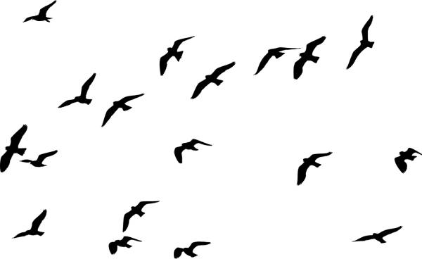 birds silhouette animals flying  svg vector cut file