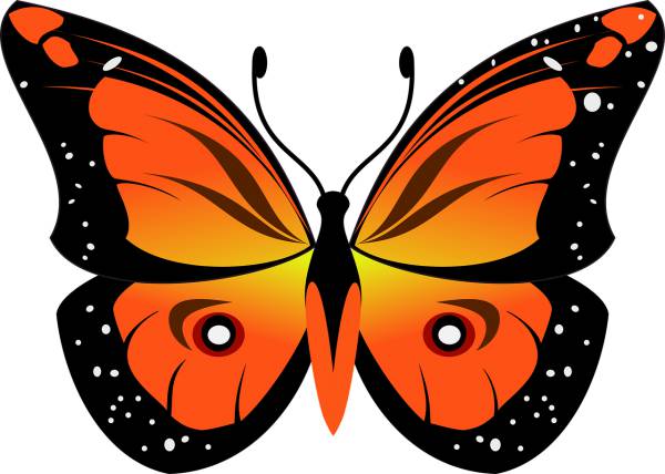 butterfly insect fly nature wings  svg vector cut file