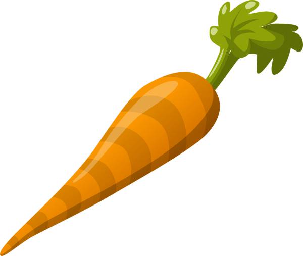 carrot vegetable food fresh  svg vector cut file
