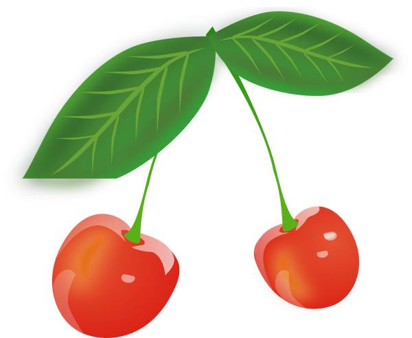 cherries berries fruit red fruit  svg vector cut file