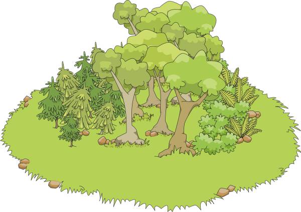fern fir grass green leaf leafy  svg vector cut file