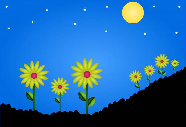 flower field star night sky  svg vector cut file