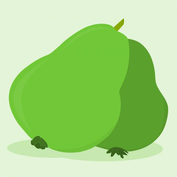 fruit guava food healthy green  svg vector cut file