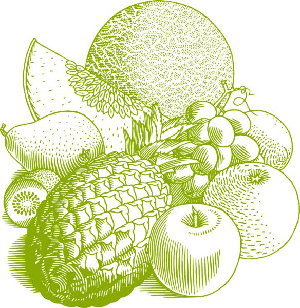 fruits vintage food healthy retro  svg vector cut file