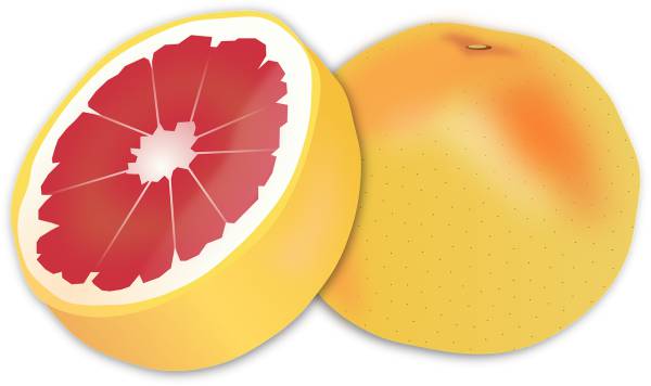 grapefruit fruit food citrus  svg vector cut file