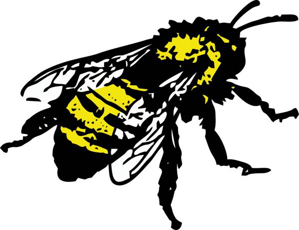 honey bee insect bee  svg vector cut file