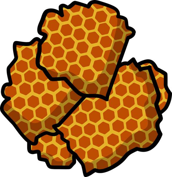 honey honey combs honeycomb  svg vector cut file