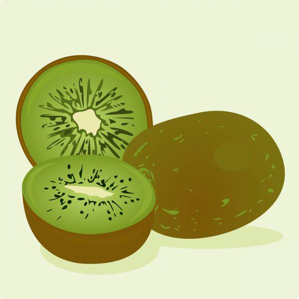 kiwi fruit food green clip art  svg vector cut file