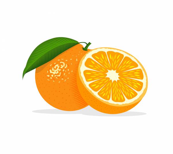 orange fruit food healthy leaf  svg vector cut file