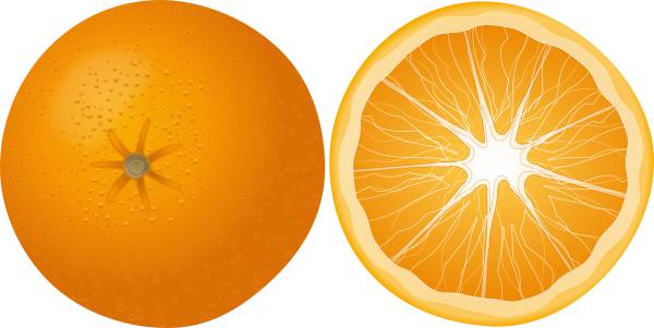 orange fruit food mandarin citrus  svg vector cut file