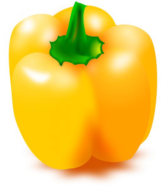 pepper capsicum vegetable food  svg vector cut file