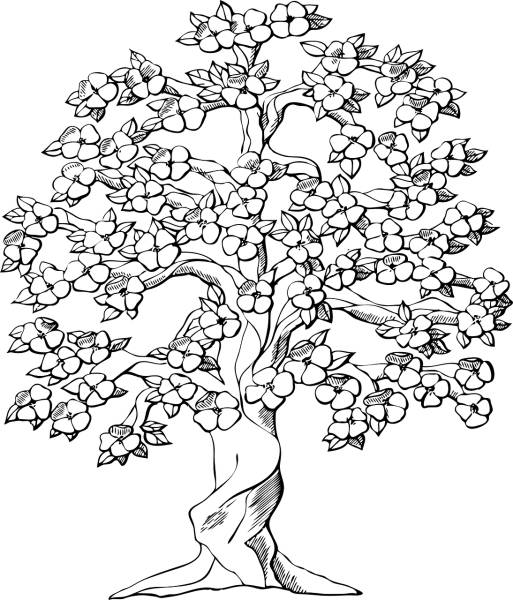 tree big old wood plant ecology  svg vector cut file
