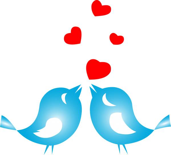 love birds animals flying hearts  svg vector cut file